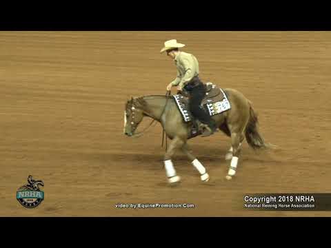Baileys Not Painted ridden by Ronny Lane Colston  - 2018 NRHA Derby (NP Derby, Sec. 1)