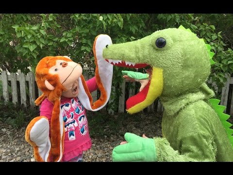 FIVE LITTLE MONKEYS SWINGING IN A TREE, TEASING MR ALLIGATOR BEST Nursery Rhyme! FUNNY!