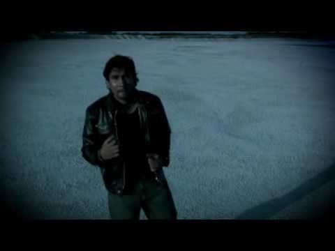 Aa hamu newevi   fern