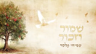 שמור וזכור ∙ עמיחי פלסר