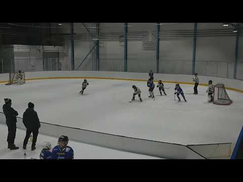 U12 mujk - kärpät