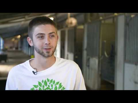 2019 AAD 03 America Rules