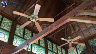 2 Westinghouse Contractor's Choice 52" Ceiling Fans | 2010s (?)