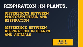 Differences between Photosynthesis and Respiration | Ch - Respiration in Plants | Class - 9 |