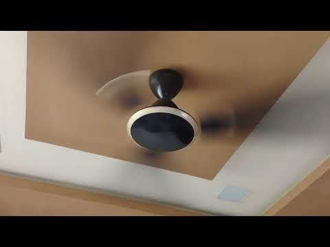 Fan Ceiling the USHA 181'' USHA Fan USHA Fan Help Fan Ceiling regular season Fan of on the Fan