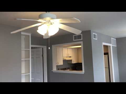 Hyde Park Country Condo - Furnished - 1BD/1BA - Covered Parking -Close to Everything property video