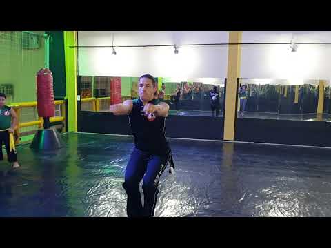 Zhong Yi Chuan - Forma de Kung Fu - Professor Gustavo - Academia CEU