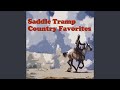 A Cowboy Needs A Horse