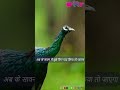 Sawan Aayo Re Seemamishra Rajasthanisongs Sawan Teej Baarish Youtubeshorts Short New