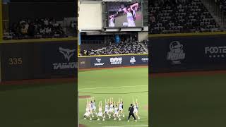 【TeamTaiwan】台湾VSチェコ交流試合(台灣捷克國際交流賽)@台北ドーム(台北大巨蛋)20241102 #台湾チア #cheerdance #cheerleading  #teamtaiwan