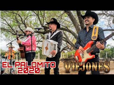 Los Viejones de Linares - El Palomito (Video Oficial)