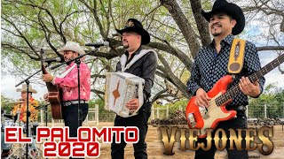 Los Viejones de Linares - El Palomito (Video Oficial)