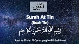 Download lagu AL QURAN MERDU surah AT TIN 41X (Al Quran Surah At Tiin 41X repeat) mp3 Download lagu AL QURAN MERDU surah AT TIN 41X (Al Quran Surah At Tiin 41X repeat) mp3