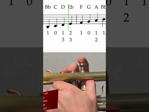 Bb Major Scale Piano Performance Video
