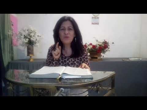 Devocionais :Abençoando o seu Dia