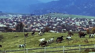 «Կաթիլ» բենդ, «Հոսք»