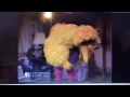 Big Bird And Gabi Dance The Ouchy Back Ballet Precious Wings