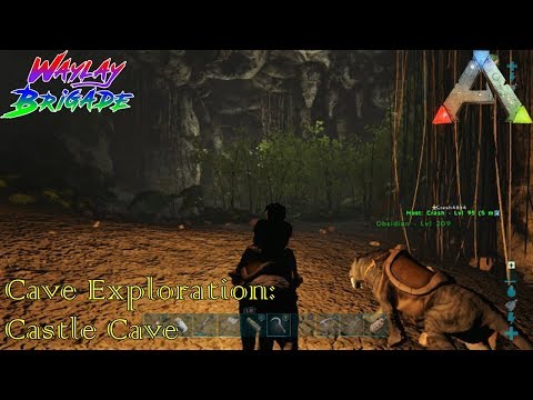 Carnivorous Caverns | Cave Exploration | Let's Play ARK: Survival Evolved | Ragnarok | Temo Evolved