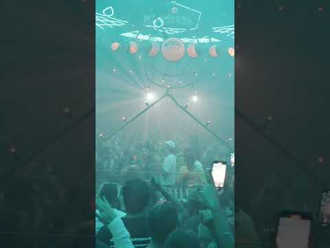 Bedouin Saga at Pacha Ibiza - Week 13 #shorts