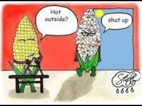 Democratic Women Club 15JULY211