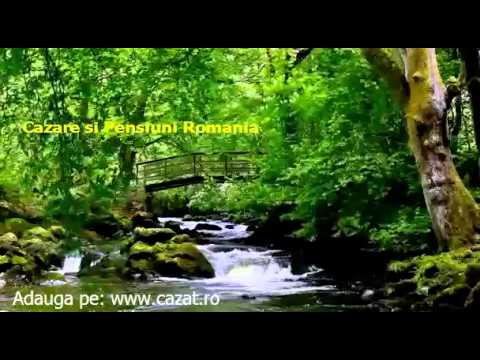 Cazare Seulia de Mures, Mures - Cazat.ro