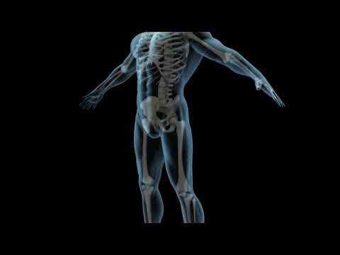 Videos from Bharath Orthopaedics