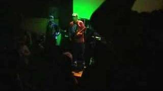 terror what have we done