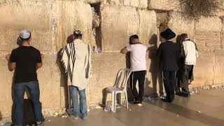 THE WESTERN WALL