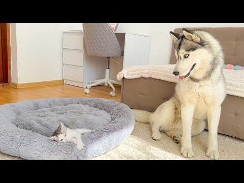 YouTube 썸네일