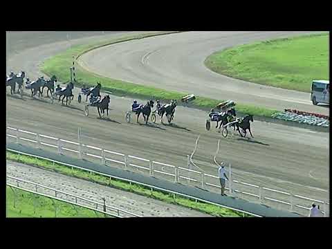 Napoli Trotto 20/05/2022 - 8ª corsa