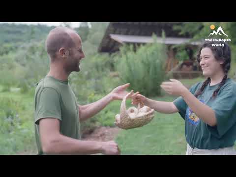 Everything I Own Fits in this Tiny House FULL Tour of my Simple Life | by @Robin.Greenfield