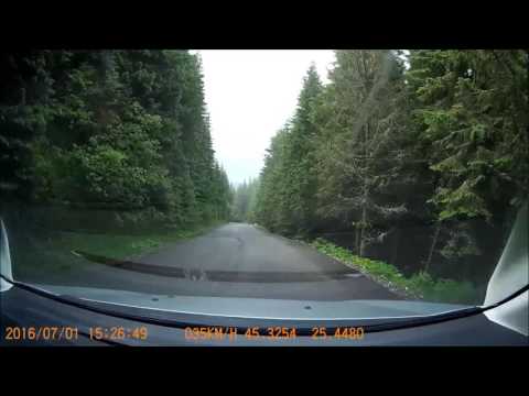 Șaua Dichiului-  Lacul Bolboci (Dj713A- Dj714)