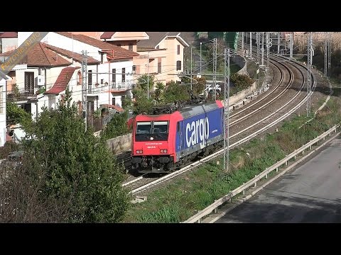 484 018 SBB Cargo in corsa a Monterotondo - SBB Cargo 484 018 running in Monterotondo