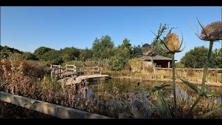 Pagham Harbour Nature Trail Walk ~ 4K