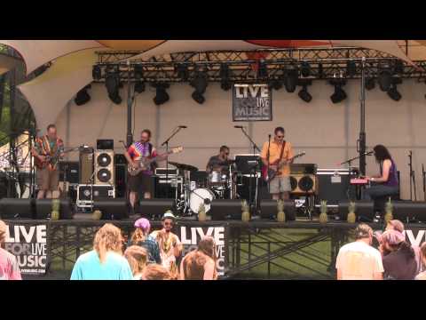 Fennario at Disc Jam Music Festival