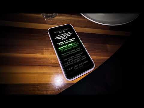 slizzyhunchodon (lyric video)