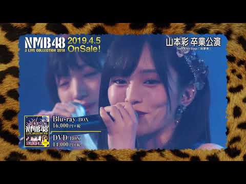 代訂bd Nmb48 山本彩3 Live Collection 18 Blu Ray 日版bd 露天拍賣 代訂bd Nmb48 山本彩3 Live Collection 18 Blu Ray 日版bd 露天拍賣