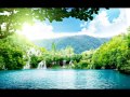 Adult Swim Bump Refreshing Fall
