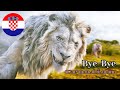 Mufasa The Lion King Bye Bye Croatian LQ