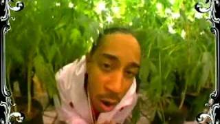Ludacris - Blueberry Yum Yum (Smoke Weed Everyday)
