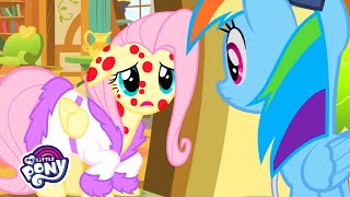 My Little Pony in Hindi 🦄 Hurricane Fluttershy | Friendship is Magic | Full Episode