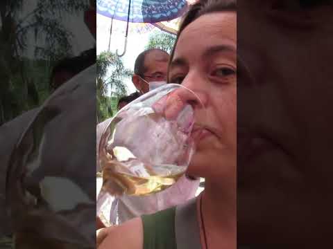 São Roque: A Rota do Vinho perto de São Paulo! 🍷