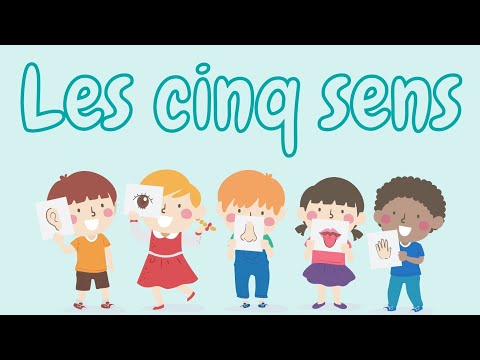 les cinq sens/ learn the five senses in french