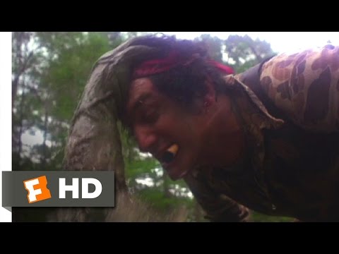 Swamp Thing (1982) - Swamp Thing Arrives Scene (3/10) | Movieclips