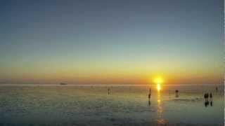 :Of the Wand & the Moon: - Immer Vorwärts