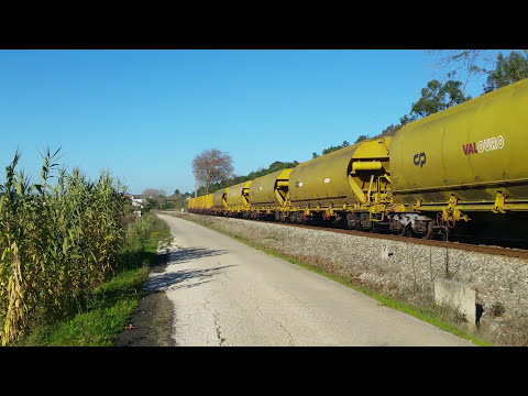 Comboio Especial n.º 98202 - Roliça