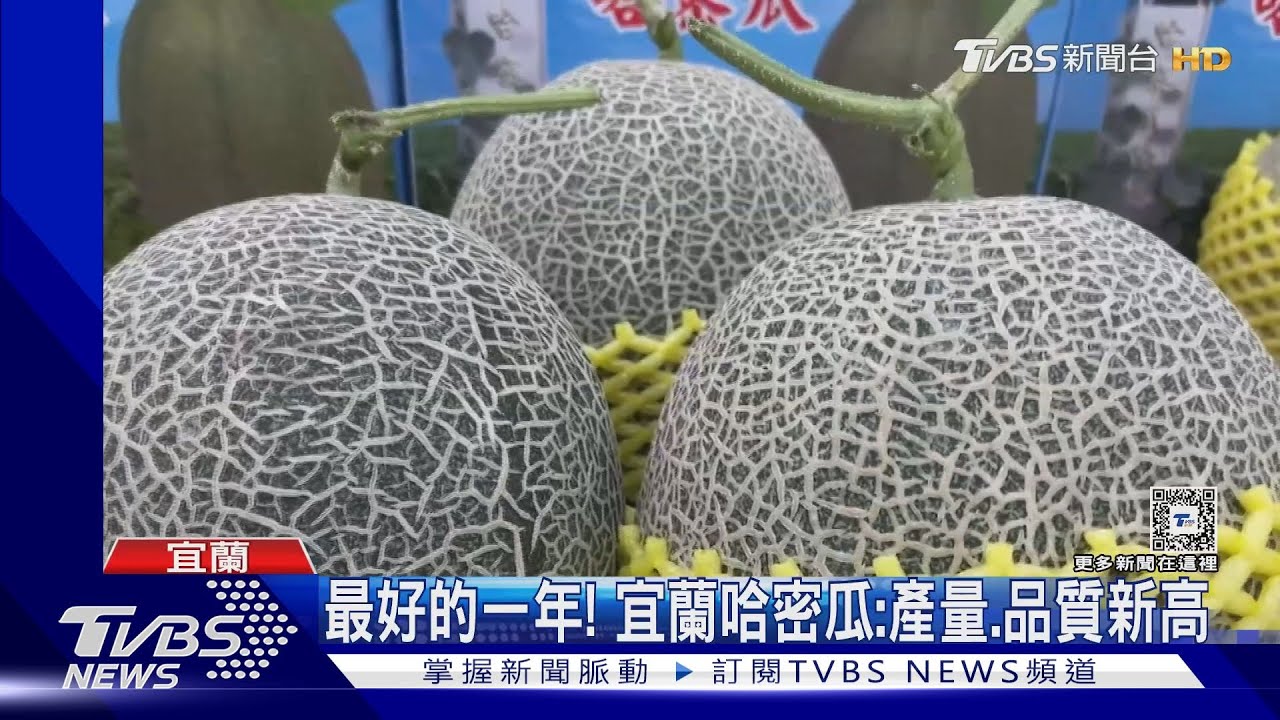 玉荷包開賣!均價每斤150元較往年貴2成 考驗遊客買氣
