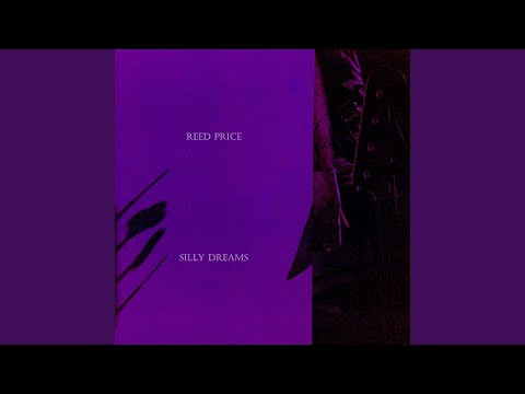 Silly Dreams - Reed Price