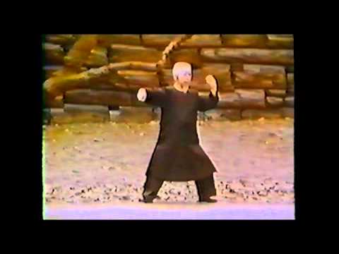 Cheng Man Ching Yang Short Form 37