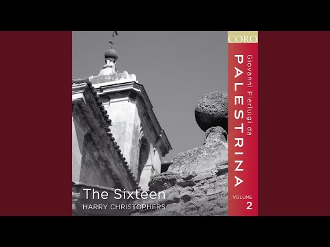 Song of Songs - Trahe me post te